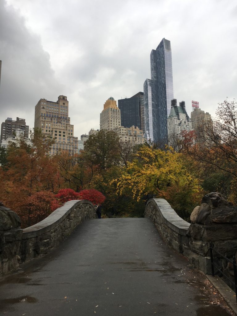 City Stitchette - Central Park