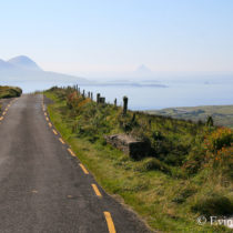 Narrow Dingle Peninsula Road with sea in the distance and rolling green fields to the side. Photo by Evin Bail OKeeffe