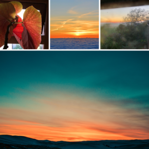 Sunset photos and mood board