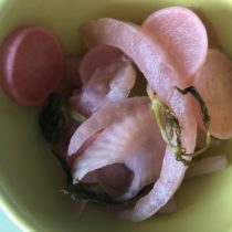 Quick Pickled Fennel and Radishes | EvinOK