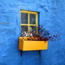 Yellow window box on a blue house. Photo by Vincent Giersch
