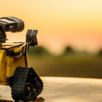 WALL-E staring off into the horizon alone. Photo by Dominik Scythe